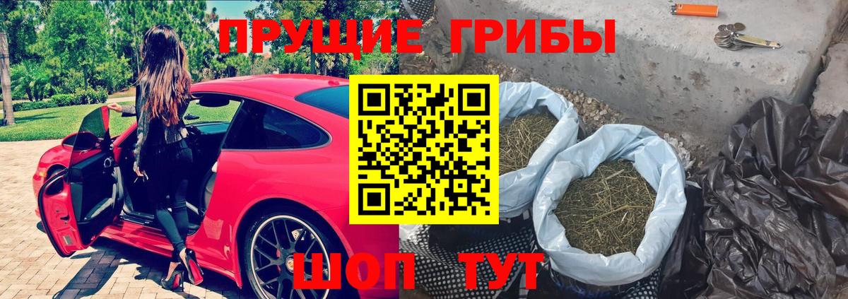 Псилоцибиновые грибы GOLDEN TEACHER  Вход с VPN  Элиста 