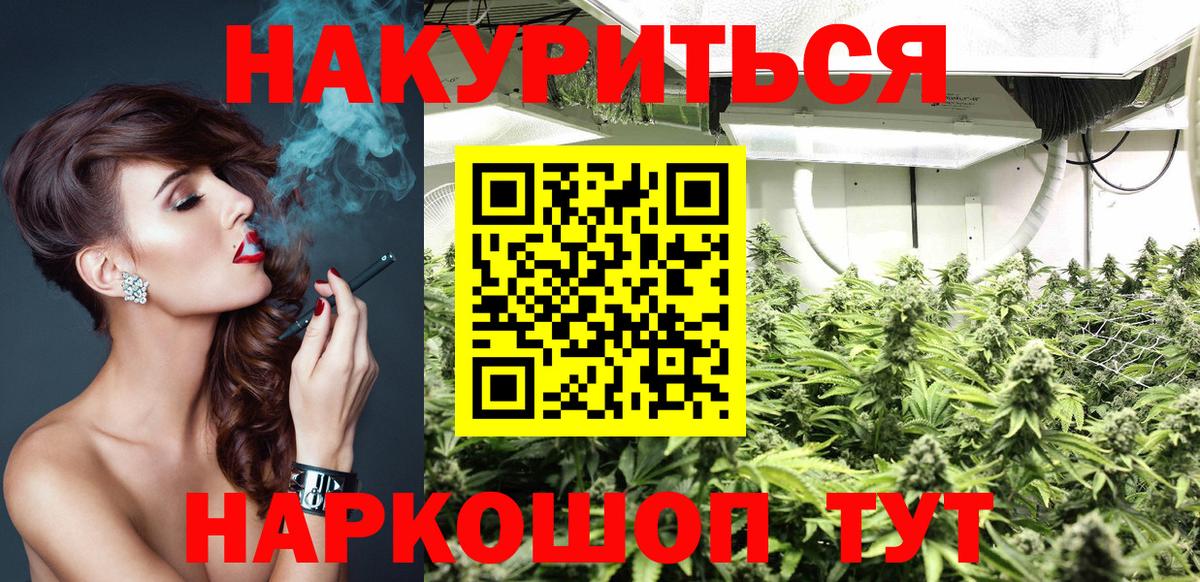 Бошки марихуана марихуана  Вход с VPN  Бошки Шишки сатива  Элиста  Каннабис индика 
